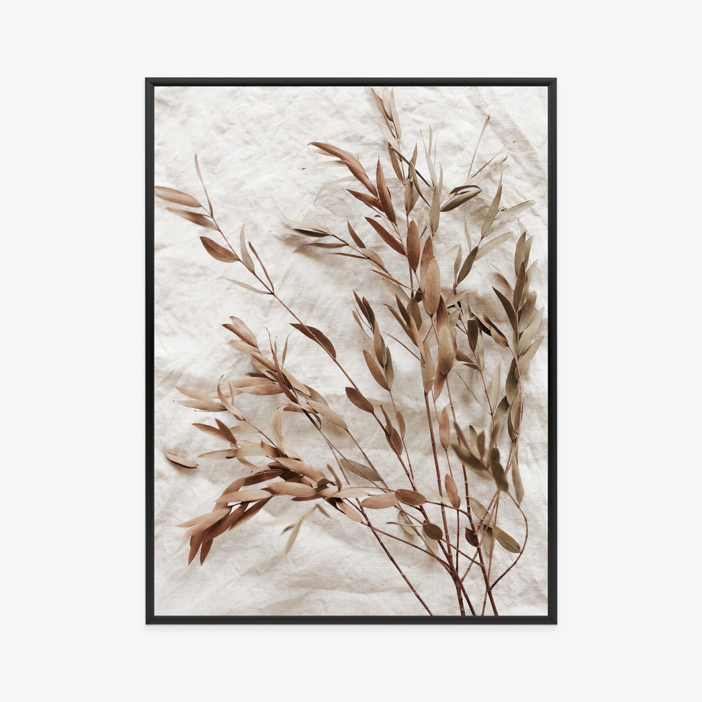 Poster Trockene Eukalyptusblätter Rahmen Holz Mit Passepartout Farbe Natürlich