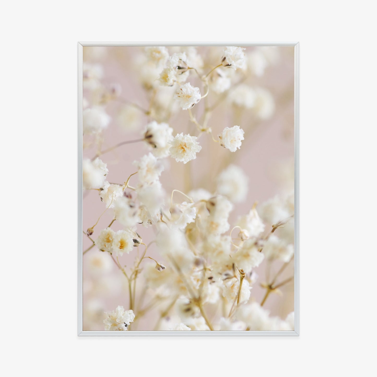 Poster Weiße Kleine Blumen Auf Rosa Hintergrund
