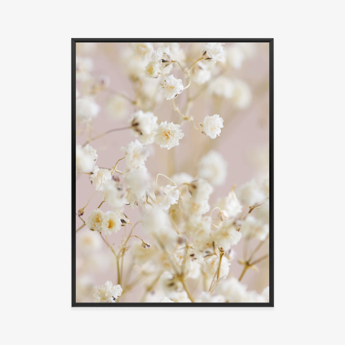 Poster Weiße Kleine Blumen Auf Rosa Hintergrund