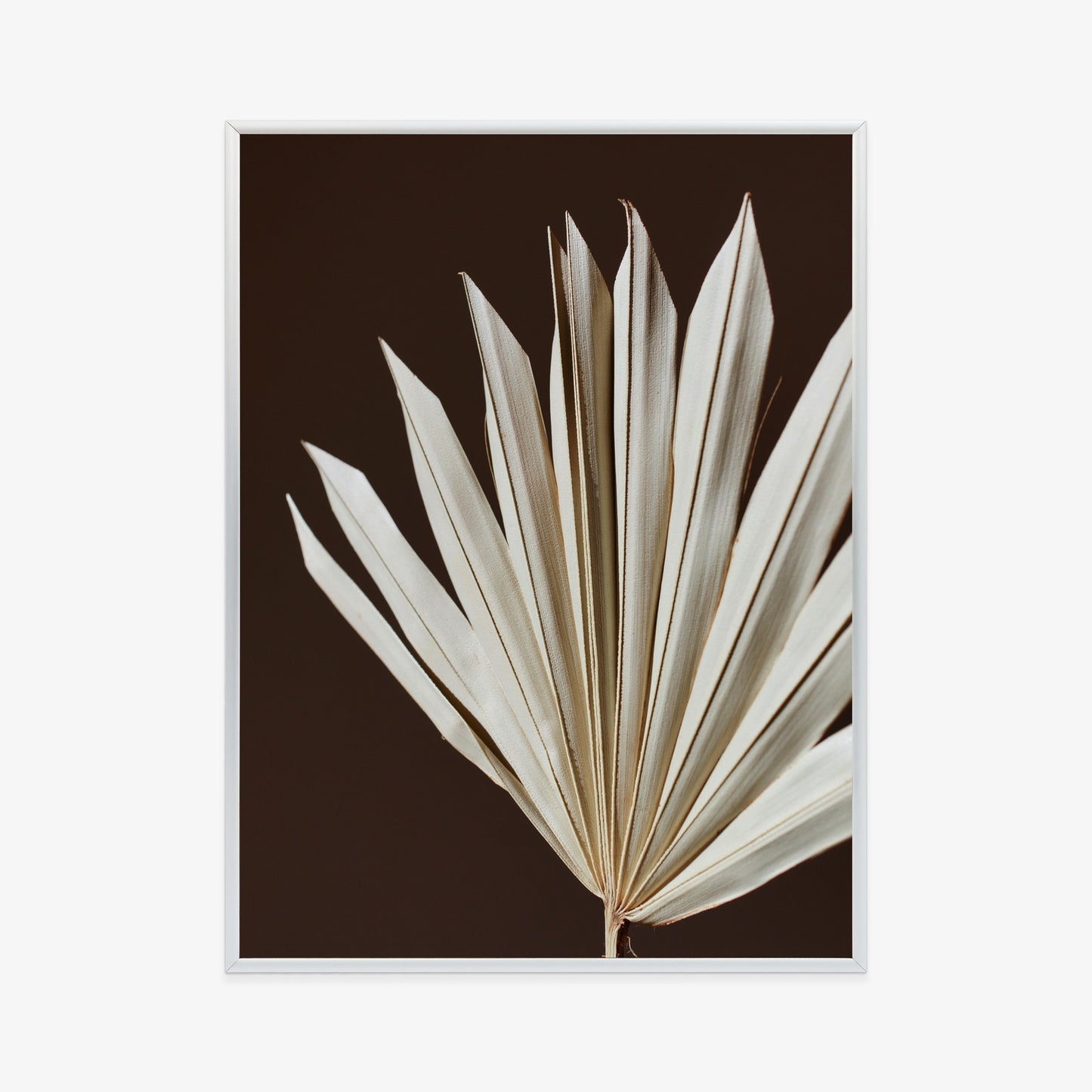 Poster Trockene Palme Auf Braunem Hintergrund Rahmen Holz Mit Passepartout Farbe Natürlich