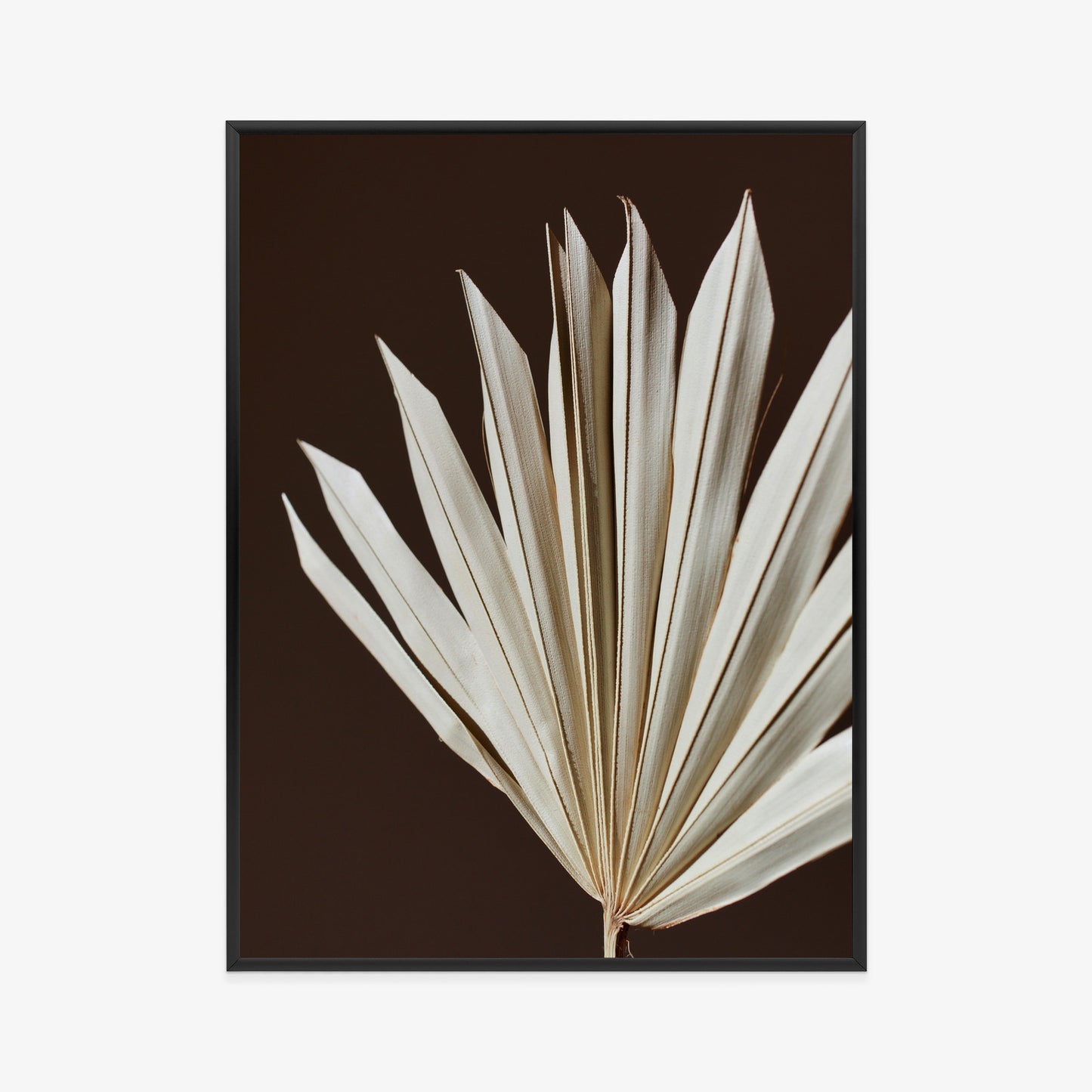 Poster Trockene Palme Auf Braunem Hintergrund Rahmen Holz Mit Passepartout Farbe Natürlich