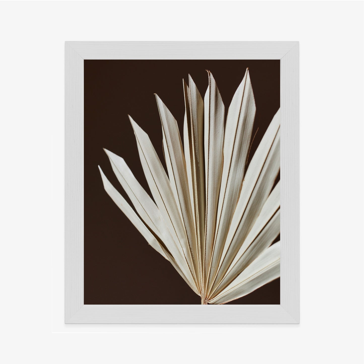 Poster Trockene Palme Auf Braunem Hintergrund Rahmen Holz Mit Passepartout Farbe Natürlich