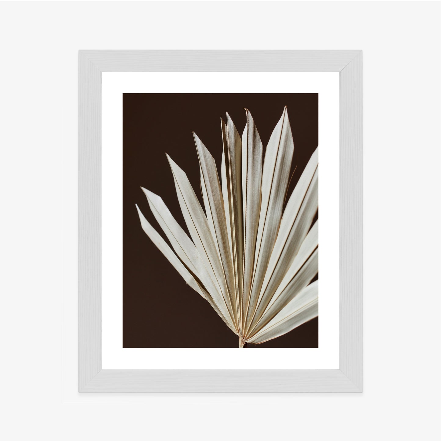 Poster Trockene Palme Auf Braunem Hintergrund Rahmen Holz Mit Passepartout Farbe Natürlich
