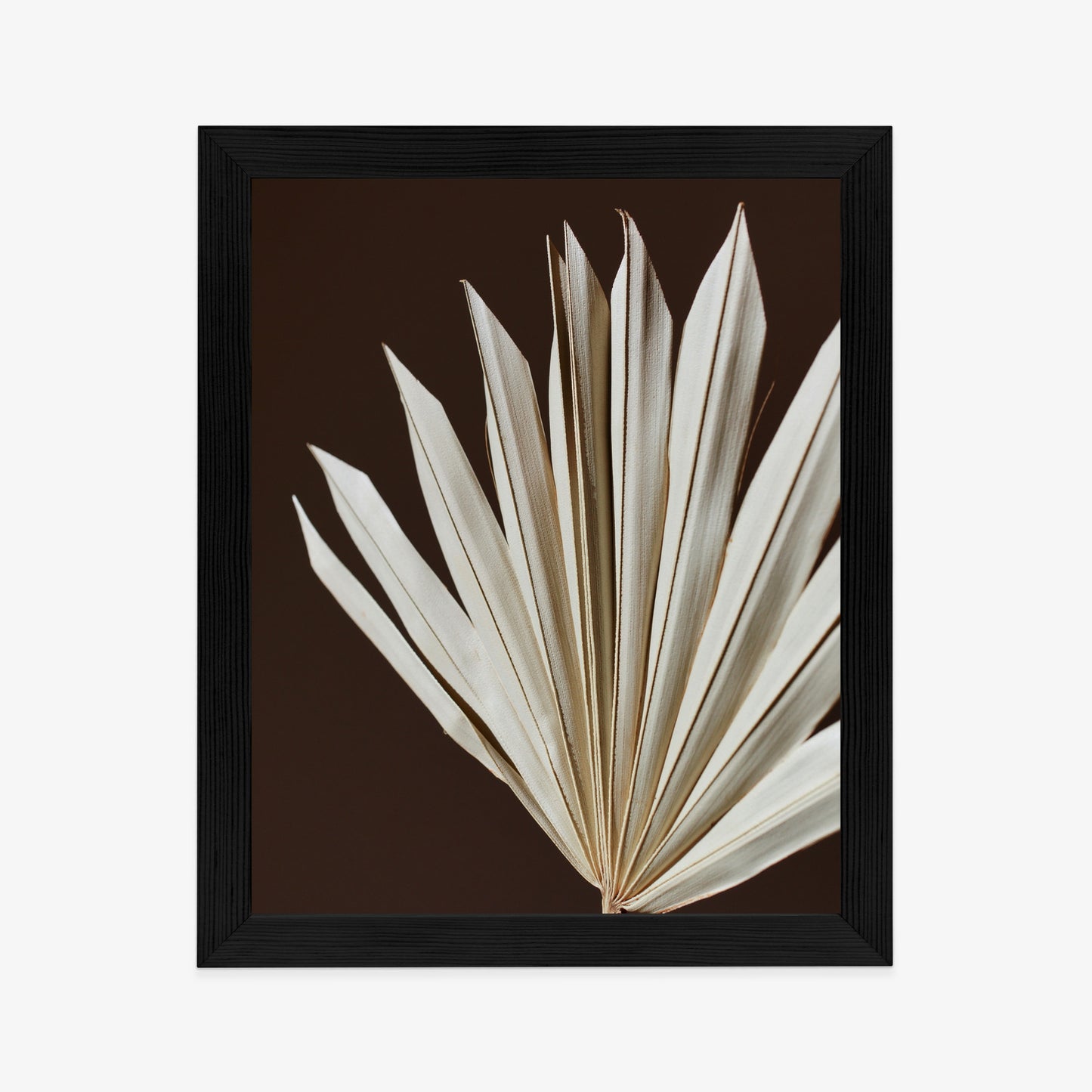 Poster Trockene Palme Auf Braunem Hintergrund Rahmen Holz Mit Passepartout Farbe Natürlich
