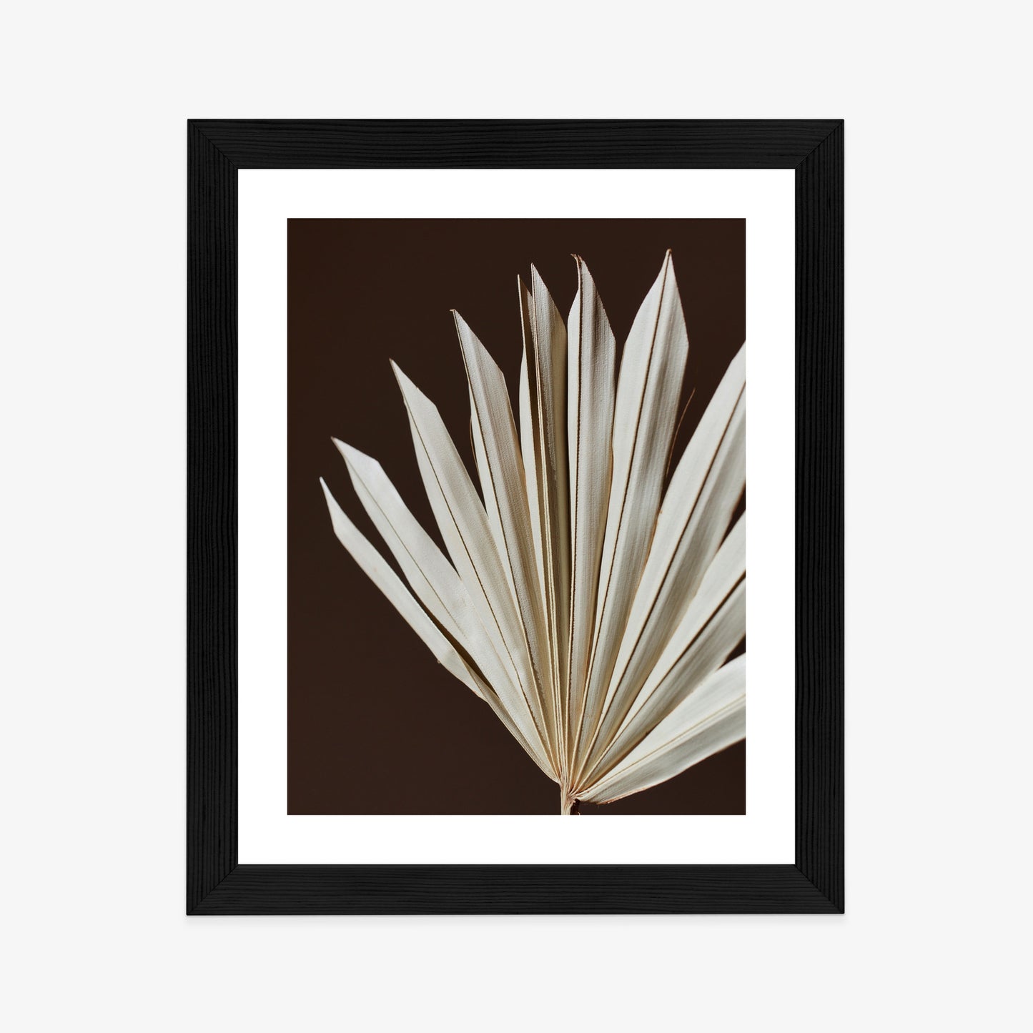 Poster Trockene Palme Auf Braunem Hintergrund Rahmen Holz Mit Passepartout Farbe Natürlich