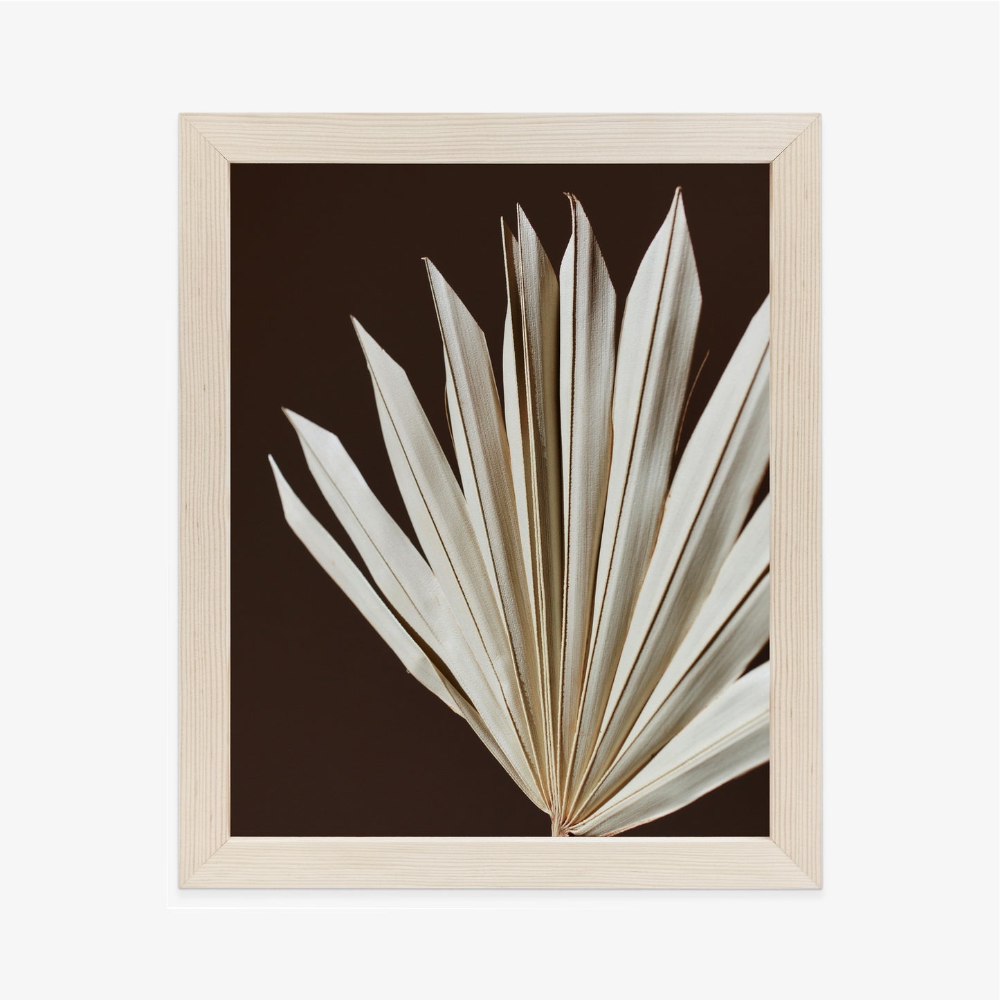 Poster Trockene Palme Auf Braunem Hintergrund Rahmen Holz Mit Passepartout Farbe Natürlich