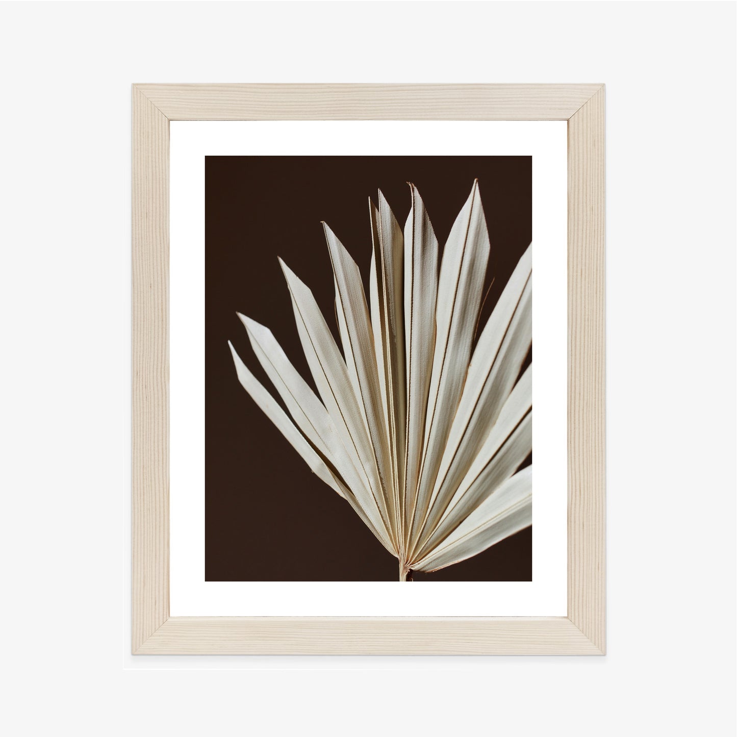 Poster Trockene Palme Auf Braunem Hintergrund Rahmen Holz Mit Passepartout Farbe Natürlich