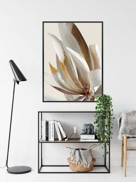 Poster Trockene Protea-Blätter Rahmen Holz Mit Passepartout Farbe Natürlich