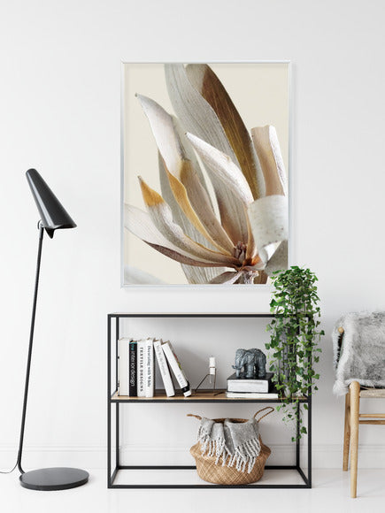 Poster Trockene Protea-Blätter Rahmen Holz Mit Passepartout Farbe Natürlich