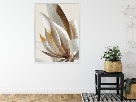 Poster Trockene Protea-Blätter Rahmen Holz Mit Passepartout Farbe Natürlich