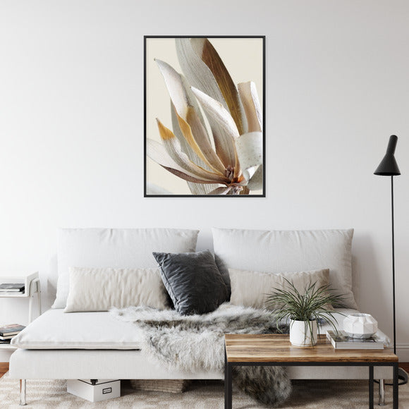 Poster Trockene Protea-Blätter Rahmen Holz Mit Passepartout Farbe Natürlich