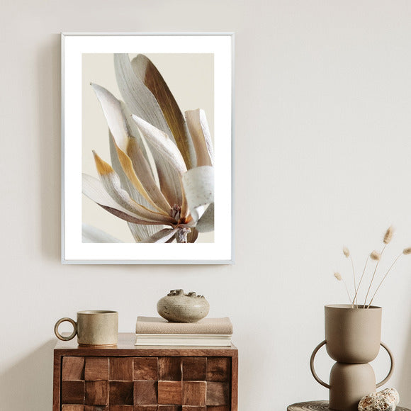 Poster Trockene Protea-Blätter Rahmen Holz Mit Passepartout Farbe Natürlich