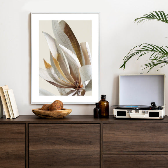 Poster Trockene Protea-Blätter Rahmen Holz Mit Passepartout Farbe Natürlich