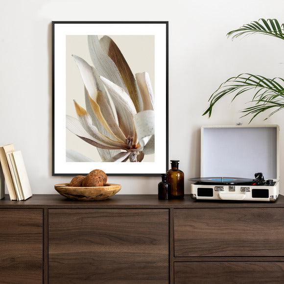 Poster Trockene Protea-Blätter Rahmen Holz Mit Passepartout Farbe Natürlich