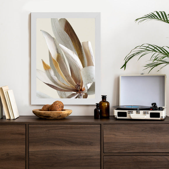 Poster Trockene Protea-Blätter Rahmen Holz Mit Passepartout Farbe Natürlich