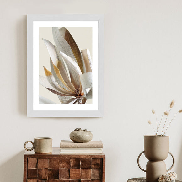 Poster Trockene Protea-Blätter Rahmen Holz Mit Passepartout Farbe Natürlich