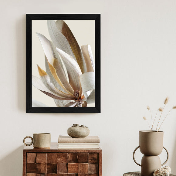 Poster Trockene Protea-Blätter Rahmen Holz Mit Passepartout Farbe Natürlich