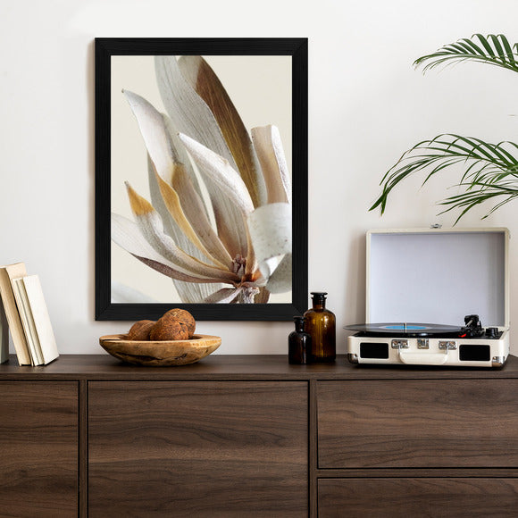 Poster Trockene Protea-Blätter Rahmen Holz Mit Passepartout Farbe Natürlich