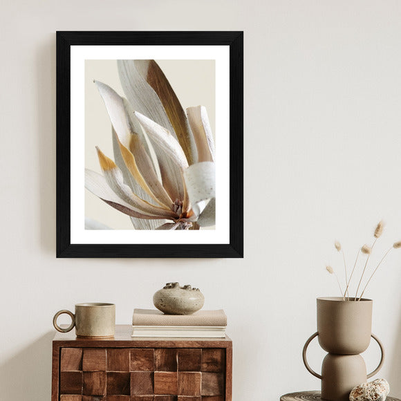 Poster Trockene Protea-Blätter Rahmen Holz Mit Passepartout Farbe Natürlich