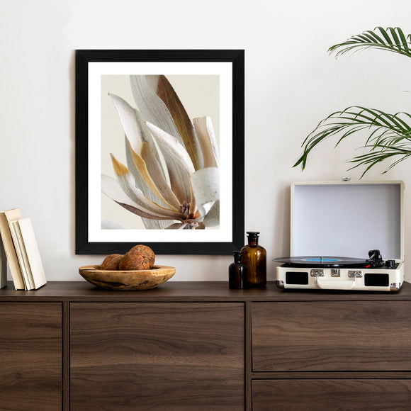 Poster Trockene Protea-Blätter Rahmen Holz Mit Passepartout Farbe Natürlich