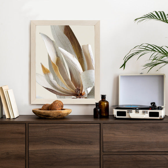 Poster Trockene Protea-Blätter Rahmen Holz Mit Passepartout Farbe Natürlich