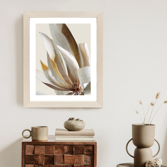 Poster Trockene Protea-Blätter Rahmen Holz Mit Passepartout Farbe Natürlich