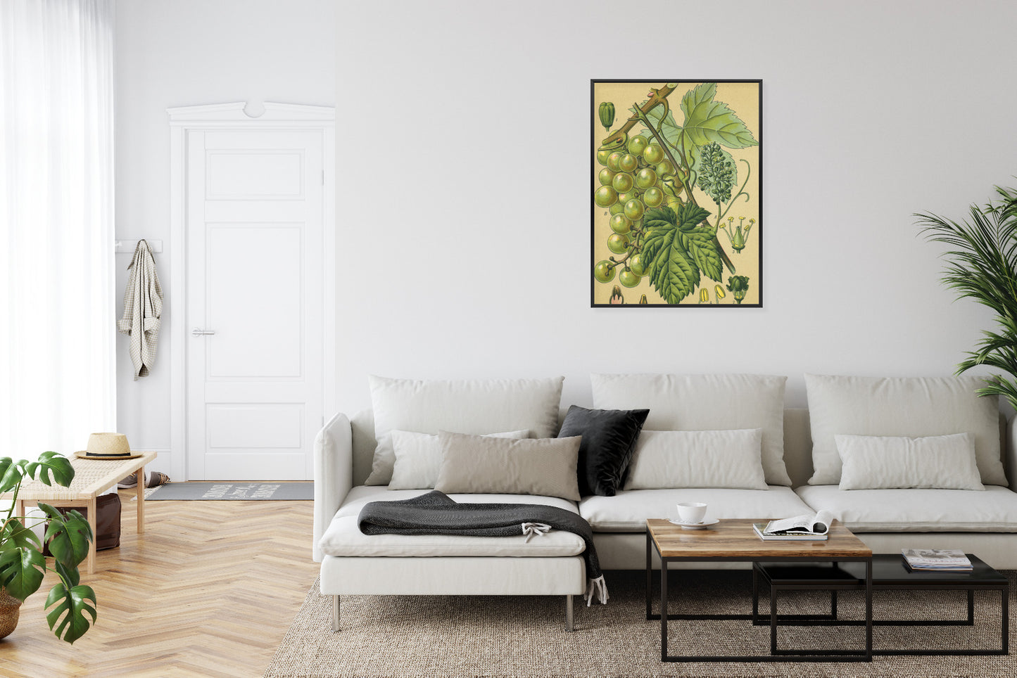 Poster Vintage Botanische Illustration Von Trauben Mit Blättern
