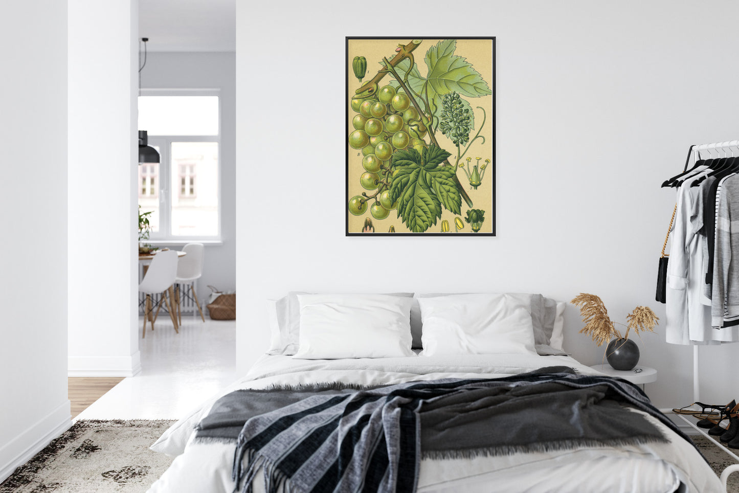 Poster Vintage Botanische Illustration Von Trauben Mit Blättern
