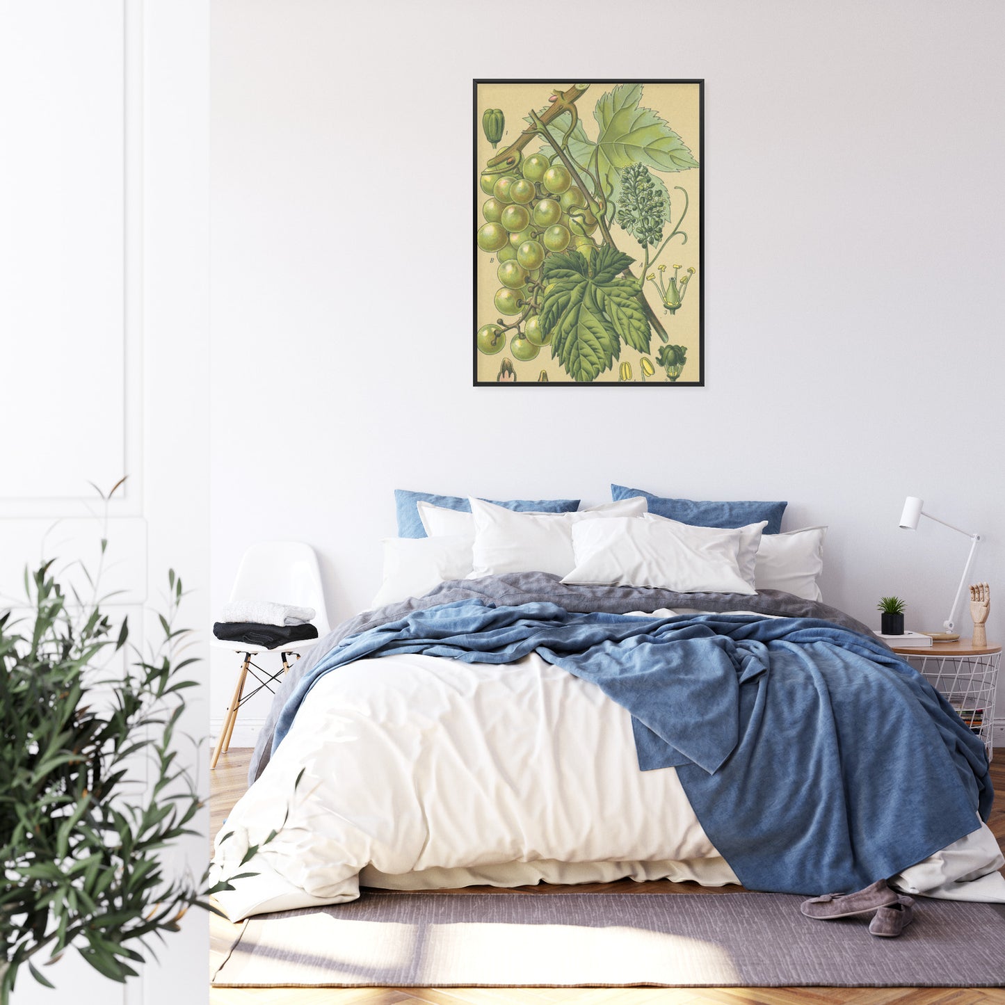 Poster Vintage Botanische Illustration Von Trauben Mit Blättern
