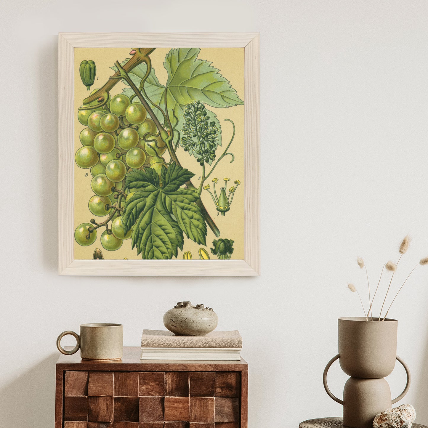 Poster Vintage Botanische Illustration Von Trauben Mit Blättern
