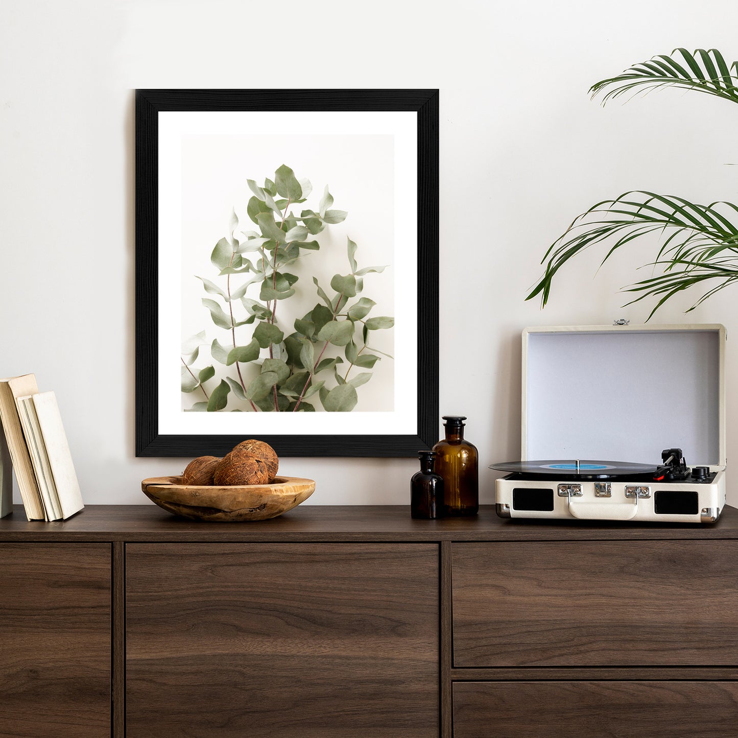 Poster Eukalyptuszweig Rahmen Holz Mit Passepartout Farbe Schwarz