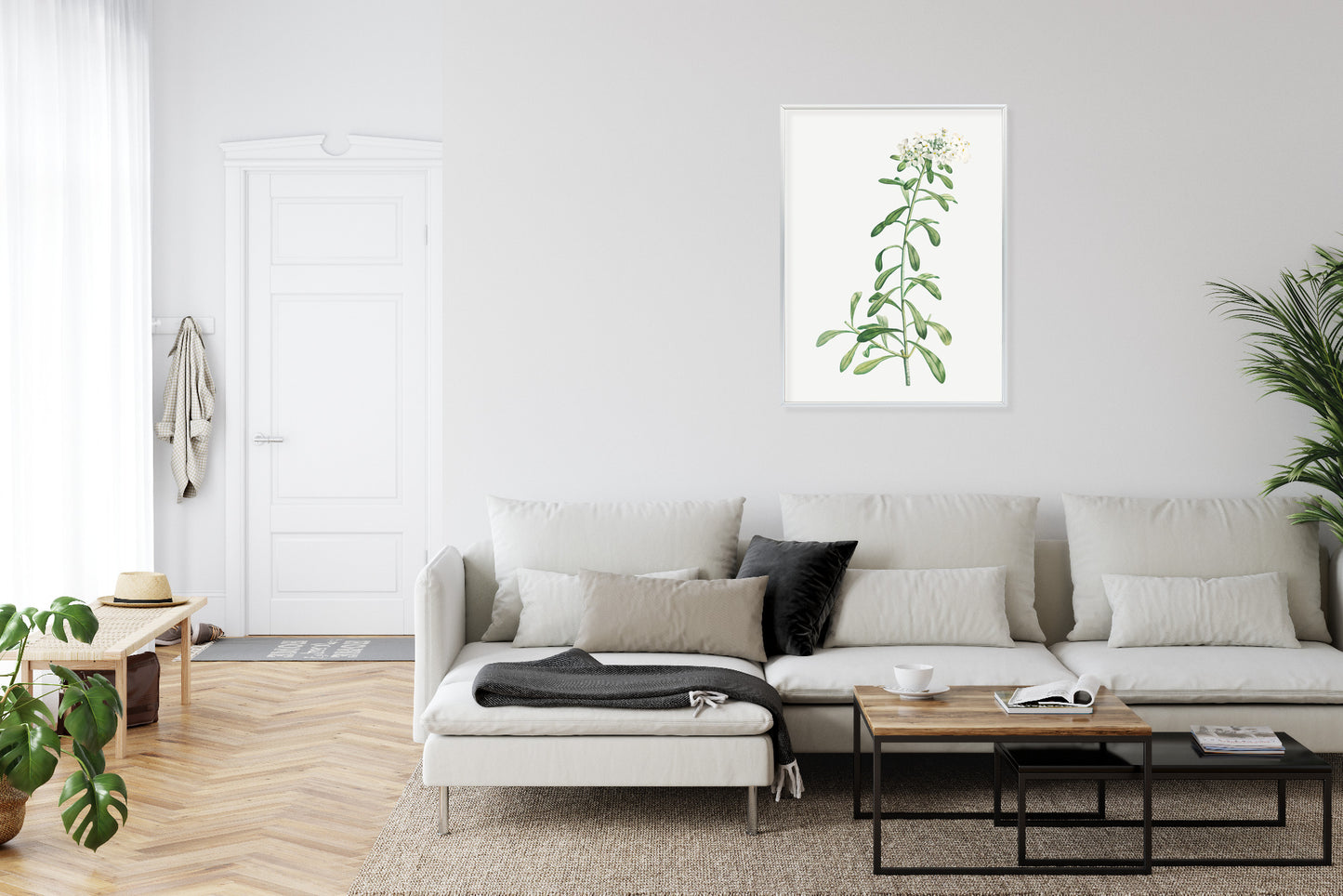 Poster Eine Kleine Weiße Pflanze