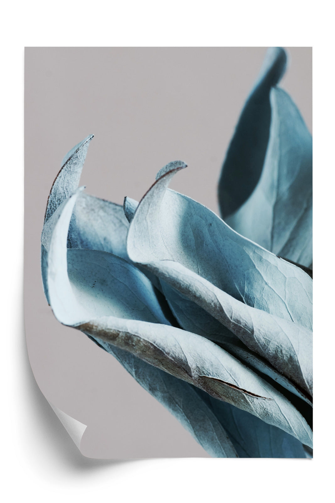 Poster Blaue Blätter Auf Grauem Hintergrund