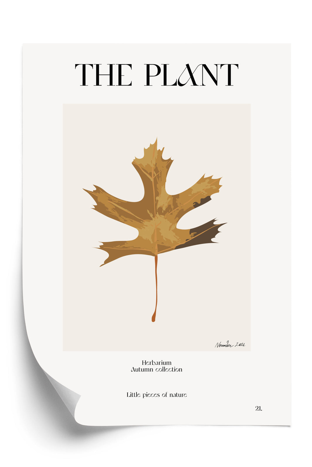 Poster Herbstblatt Im Herbarium Rahmen Holz Mit Passepartout Farbe Natürlich