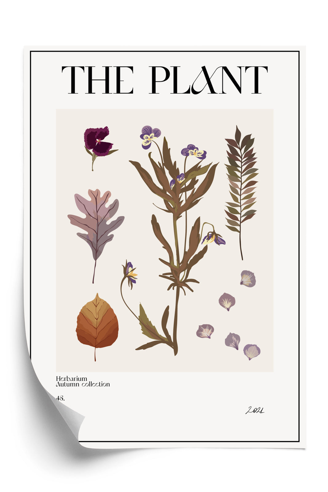 Poster Herbstpflanzen Im Herbarium Rahmen Aluminium Mit Passepartout Farbe Schwarz
