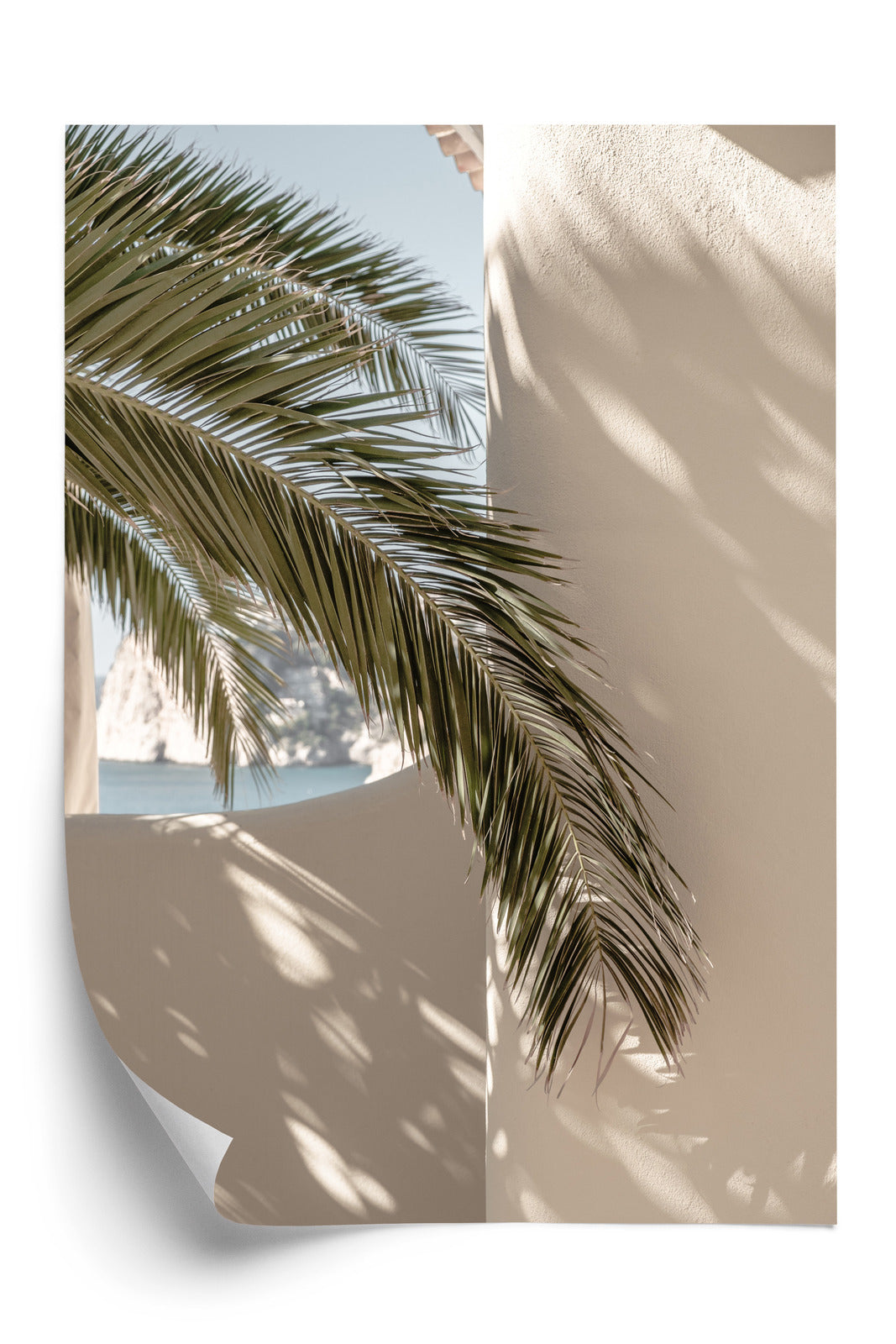 Poster Palmblätter Mit Schatten Auf Einer Beigen Wand Rahmen Holz Mit Passepartout Farbe Natürlich