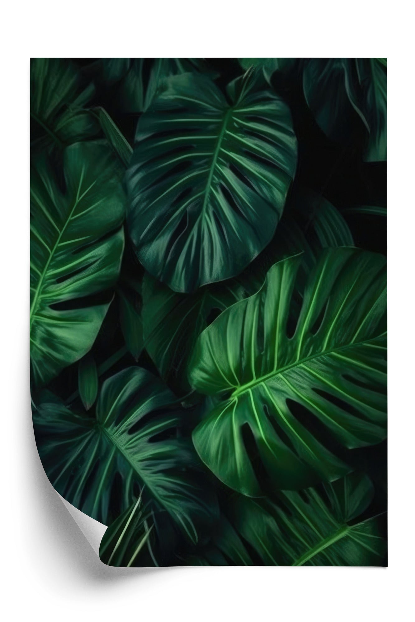 Poster Botanisches Muster Aus Dunkelgrünen Monstera-Blättern Rahmen Holz Mit Passepartout Farbe Natürlich