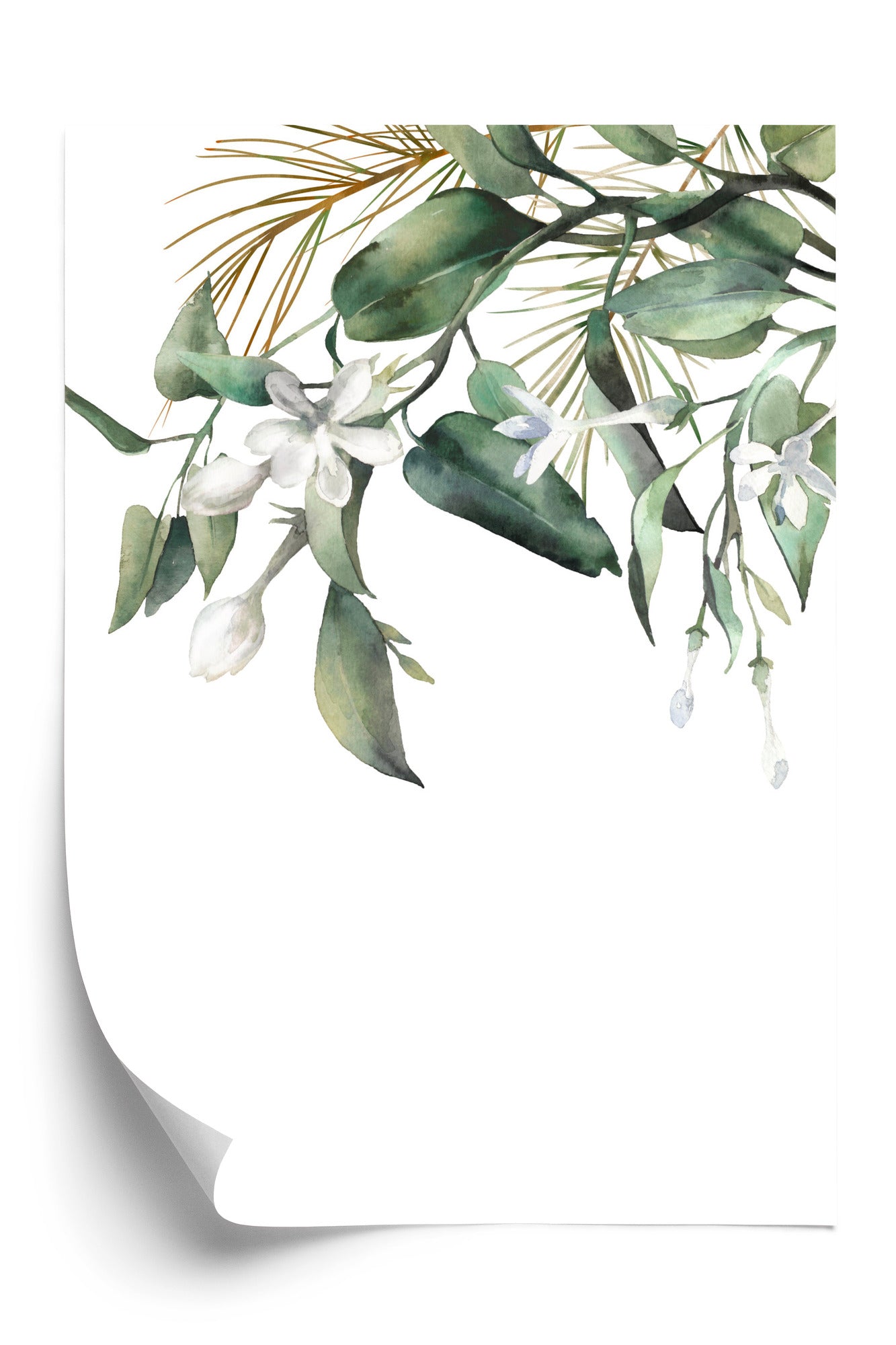 Poster Weiße Blumen Auf Grünen Aquarellzweigen Rahmen Holz Mit Passepartout Farbe Natürlich
