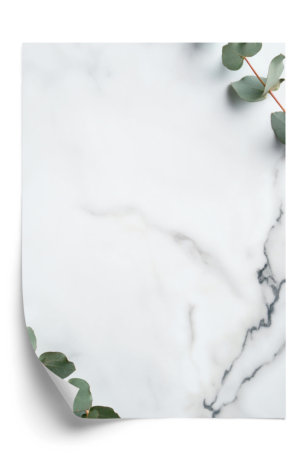 Poster Grünes Eukalyptusblatt Auf Marmor Rahmen Holz Mit Passepartout Farbe Natürlich