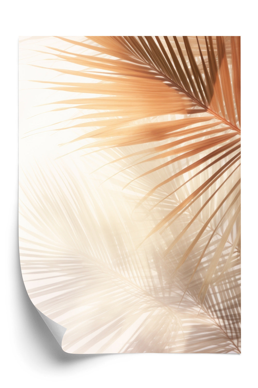 Poster Tropische Palmblätter Mit Schatten Rahmen Holz Mit Passepartout Farbe Natürlich