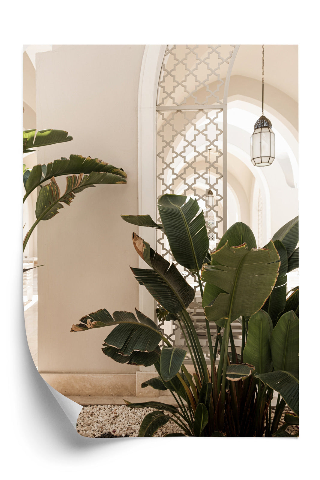 Poster Palmen Am Eingang Eines Weißen Orientalischen Hauses Rahmen Holz Mit Passepartout Farbe Natürlich