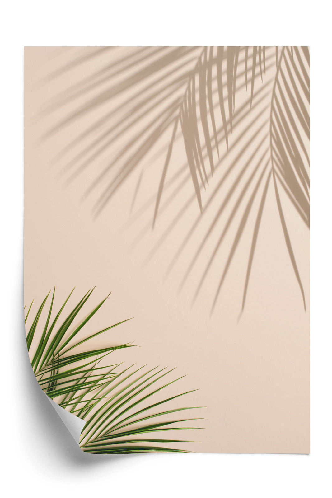 Poster Sommer Natürliche Grüne Palmblätter Und Schatten Rahmen Aluminium Farbe Schwarz