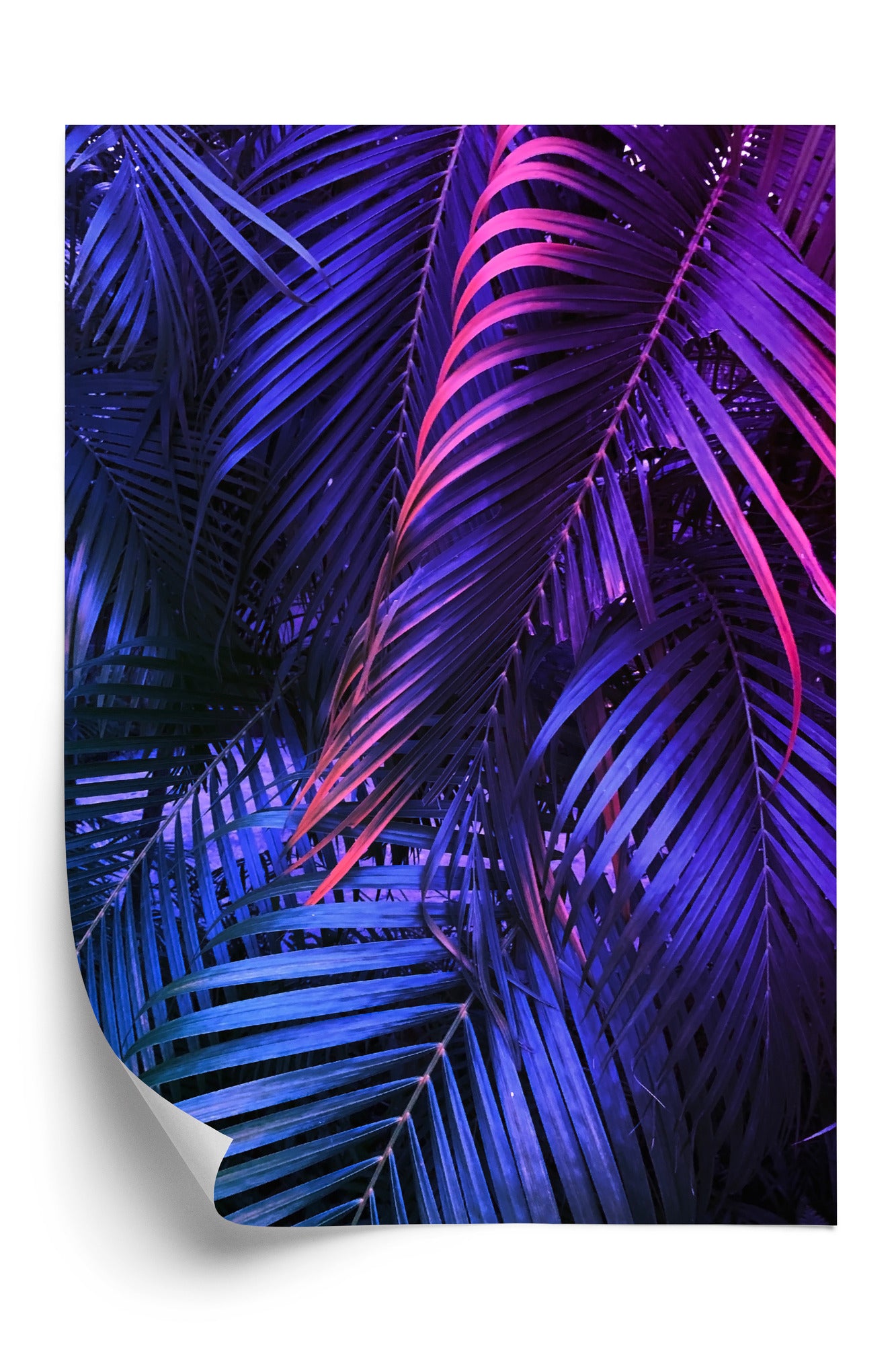 Poster Tropische Neonpalmenblätter Rahmen Holz Mit Passepartout Farbe Natürlich