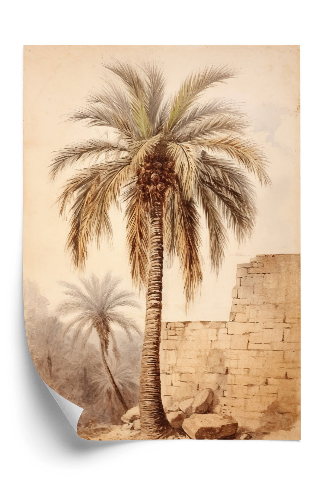 Poster Illustration Einer Palme In Der Nähe Einer Alten Mauer Rahmen Holz Mit Passepartout Farbe Natürlich