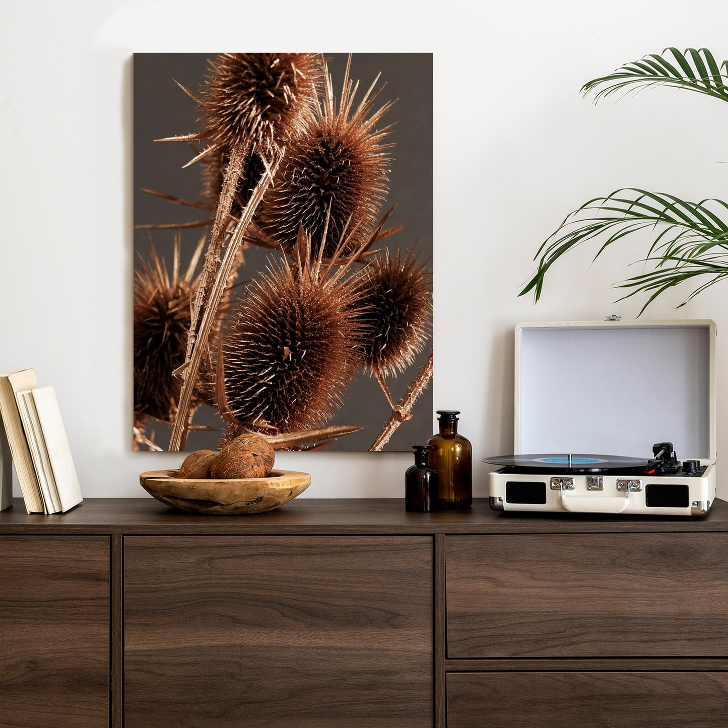 Poster Trockene Klette Rahmen Holz Mit Passepartout Farbe Weiß