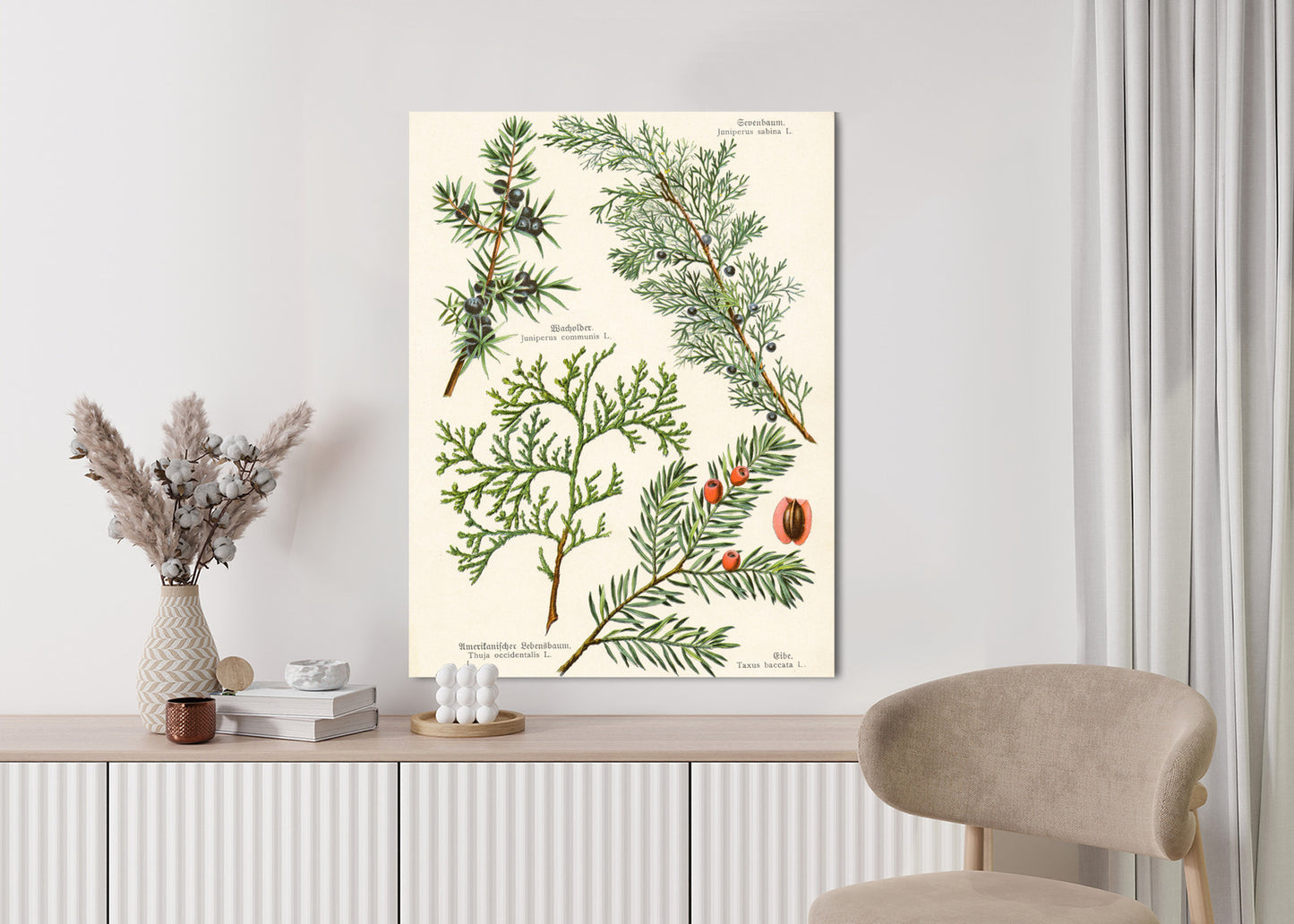 Poster Bilder Alter Botanischer Pflanzen Rahmen Aluminium Mit Passepartout Farbe Silber