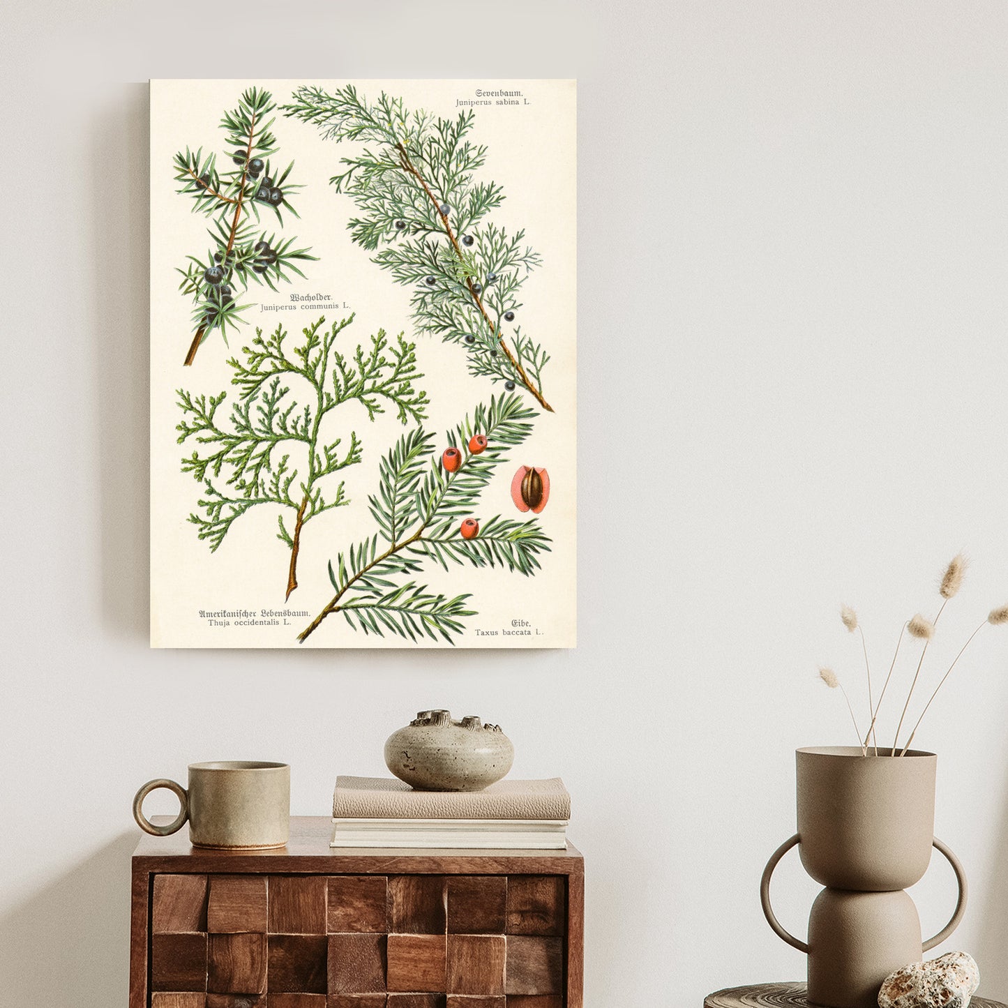 Poster Bilder Alter Botanischer Pflanzen Rahmen Aluminium Mit Passepartout Farbe Silber