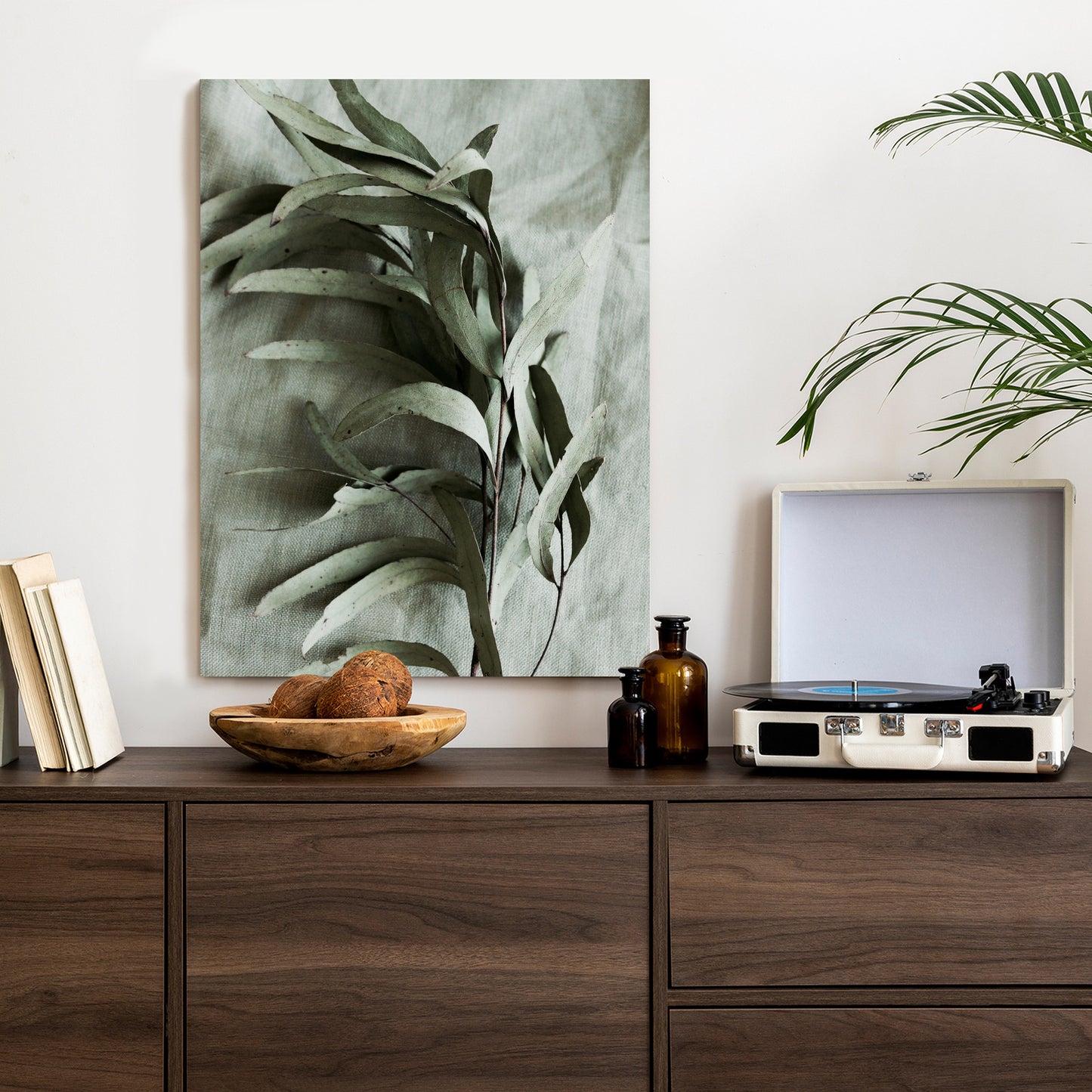 Poster Grüner Zweig Mit Trockenem Eukalyptus Rahmen Holz Mit Passepartout Farbe Natürlich
