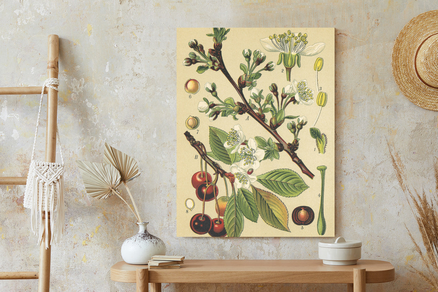 Poster Vintage Botanische Illustration Von Kirschblüten Rahmen Holz Mit Passepartout Farbe Natürlich