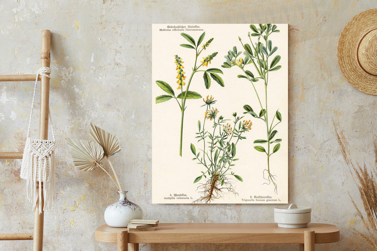 Poster Verschiedene Botanische Pflanzen Rahmen Holz Mit Passepartout Farbe Natürlich